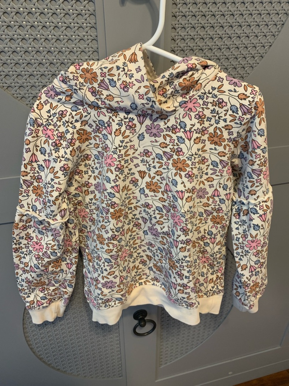 Cream Floral Hoodie Sweatshirt with Pink, Blue & Brown Blooms